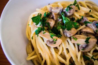 Pasta i fløde og champignon sovs